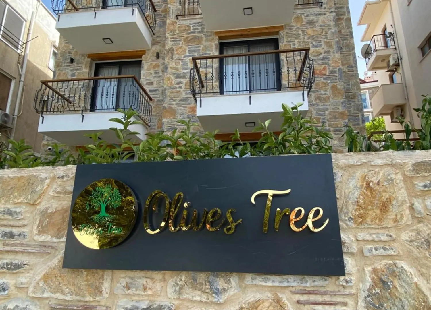 مبيت وإفطار داتْشا Olives Tree